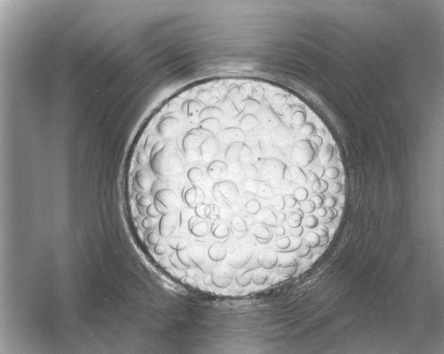 X0000059791432200511181436