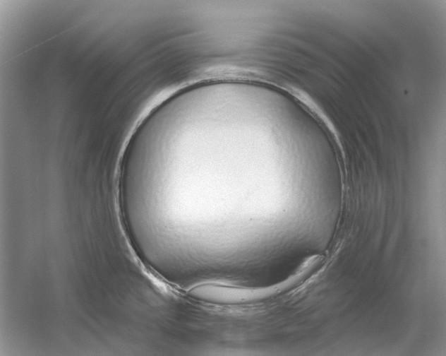 X0000059791437200511181437