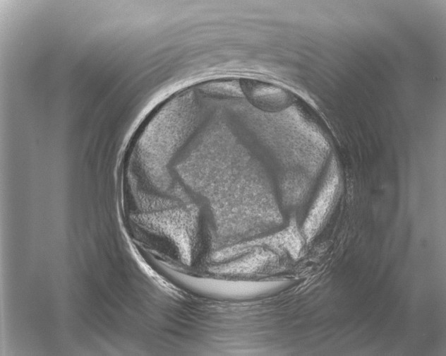 X0000059791515200511181435