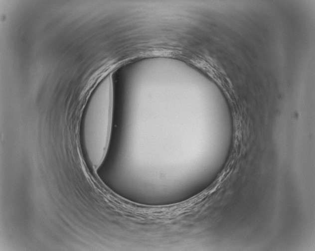 X0000059800001200510210908