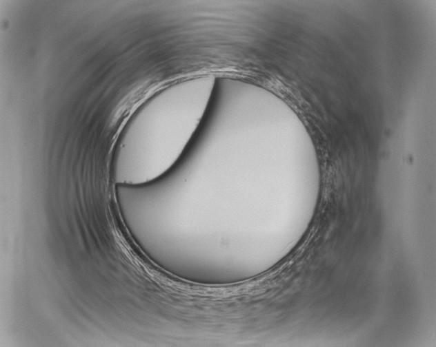 X0000059800002200510210908