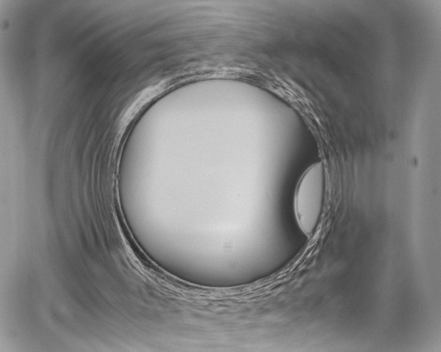 X0000059800003200510210908