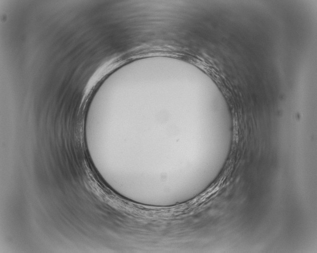 X0000059800004200510210908