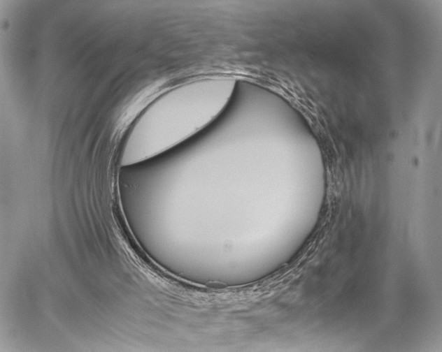 X0000059800005200510210908