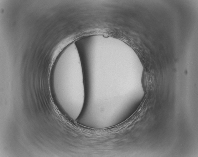 X0000059800006200510210908