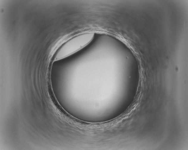 X0000059800007200510210908