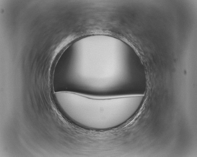 X0000059800008200510210908