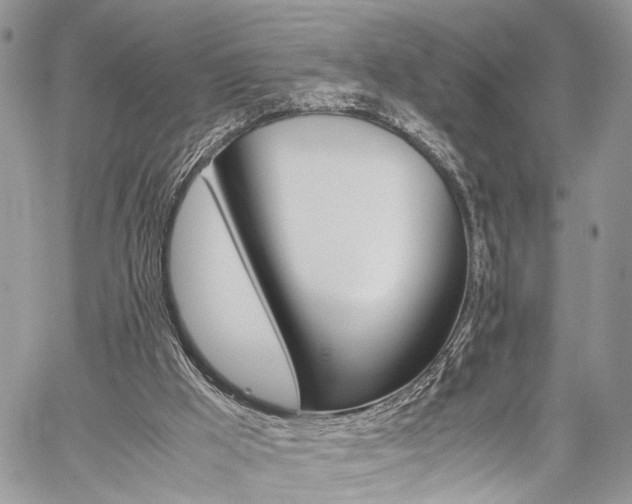 X0000059800009200510210908