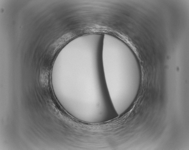 X0000059800010200510210908