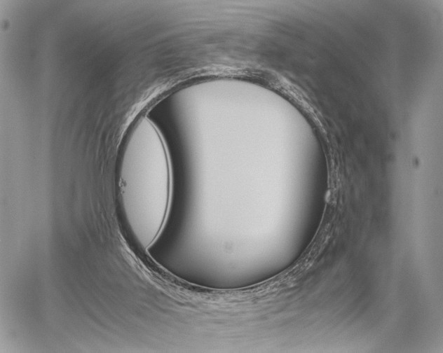 X0000059800011200510210908