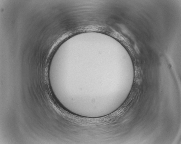 X0000059800012200510210908