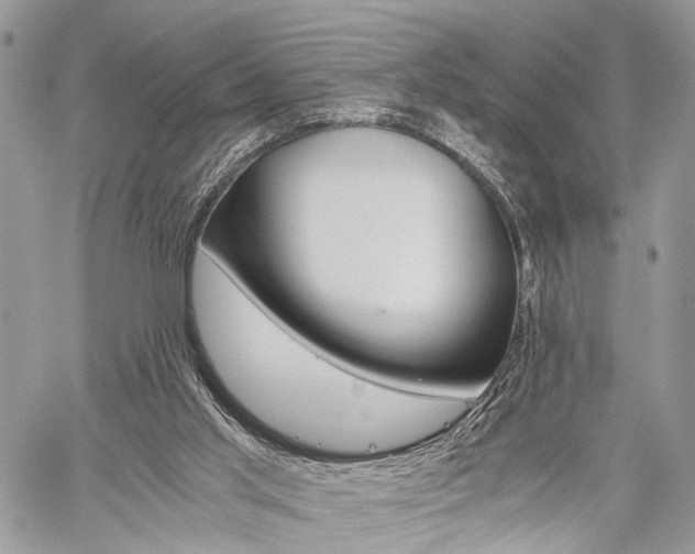 X0000059800013200510210908