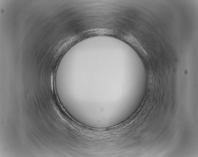 X0000059800014200510210908