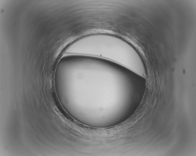 X0000059800015200510210908