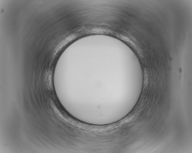 X0000059800016200510210908