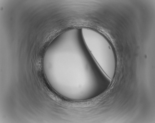 X0000059800017200510210908