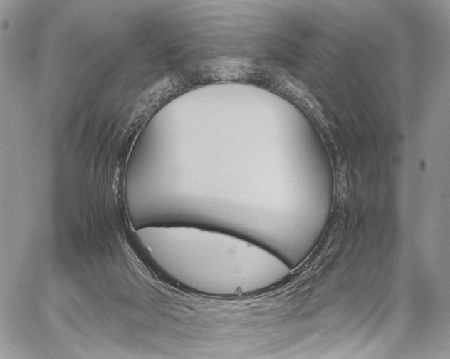 X0000059800018200510210908