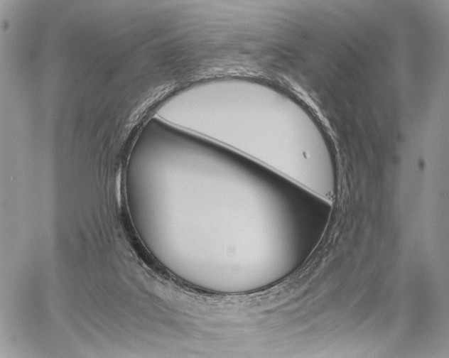 X0000059800019200510210908