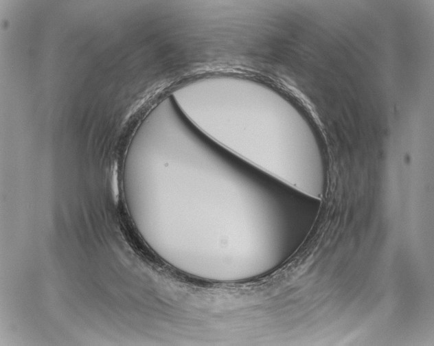 X0000059800020200510210908