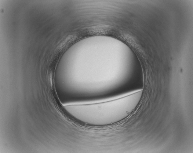 X0000059800021200510210908