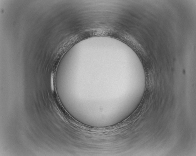 X0000059800022200510210908