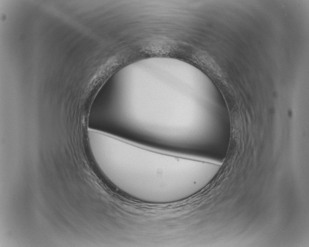 X0000059800023200510210908