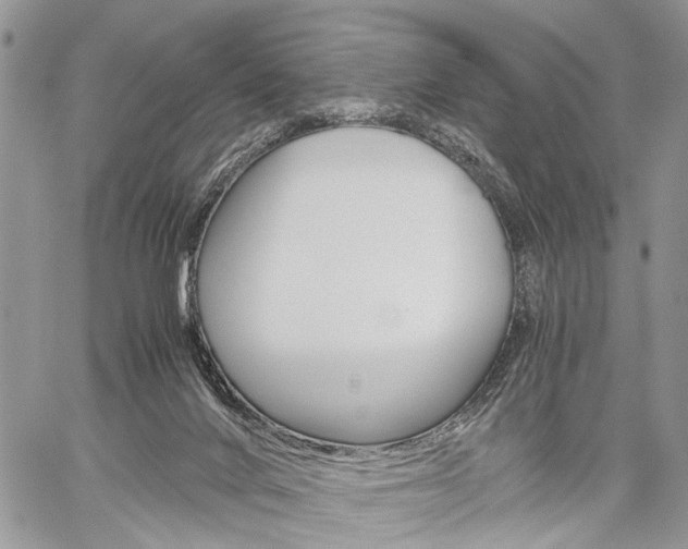 X0000059800024200510210908