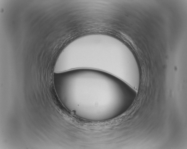 X0000059800025200510210908