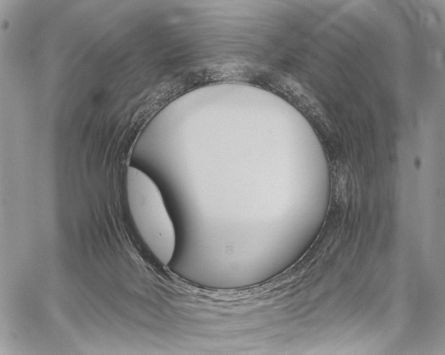 X0000059800026200510210908