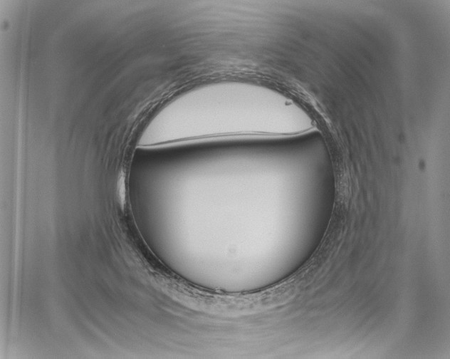 X0000059800027200510210908