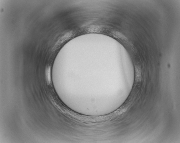 X0000059800028200510210908