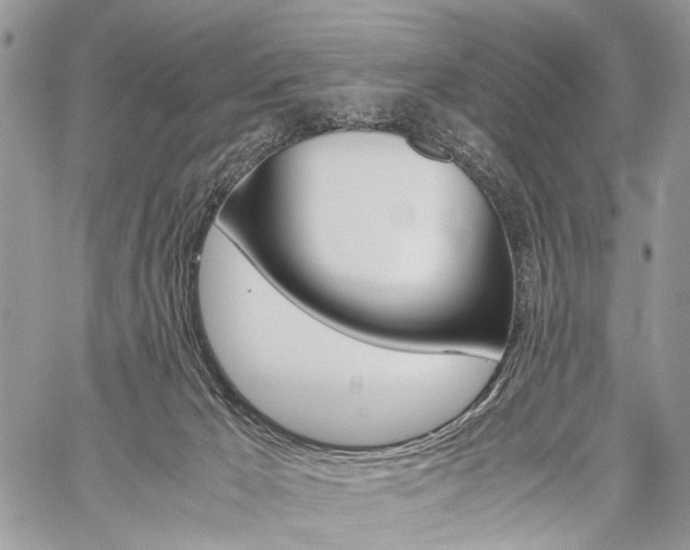 X0000059800029200510210908