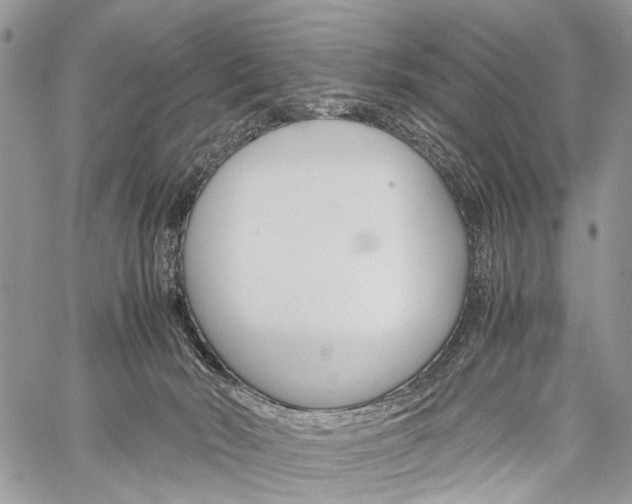 X0000059800030200510210908