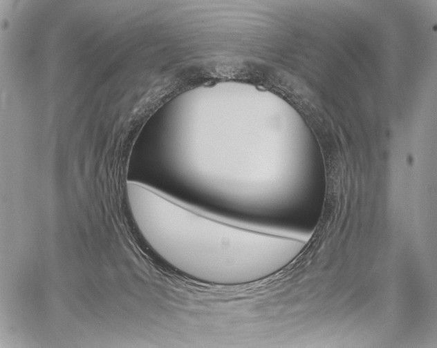 X0000059800031200510210908