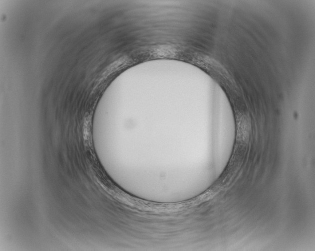 X0000059800032200510210908