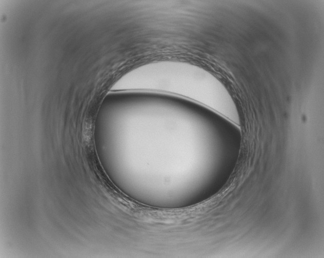 X0000059800033200510210908