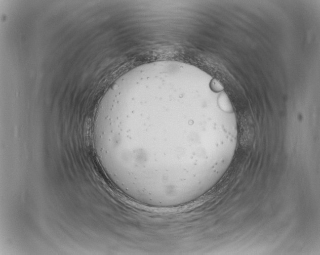 X0000059800034200510210908