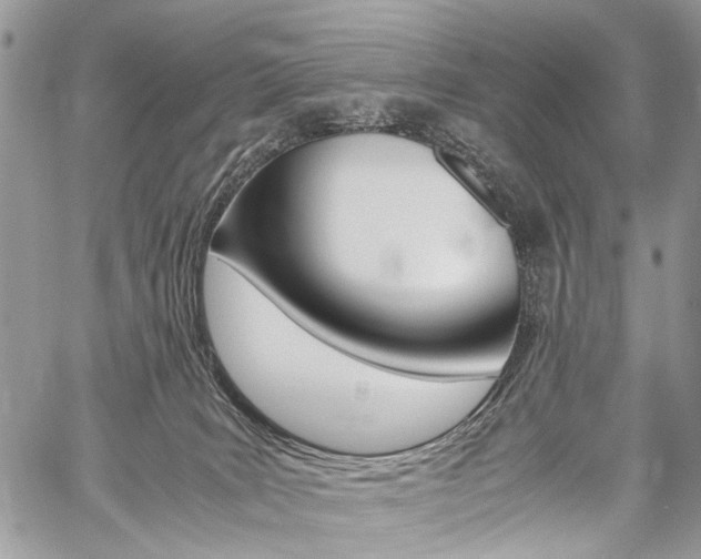 X0000059800035200510210908