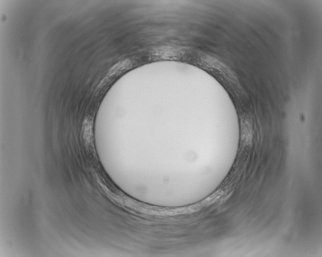 X0000059800036200510210908