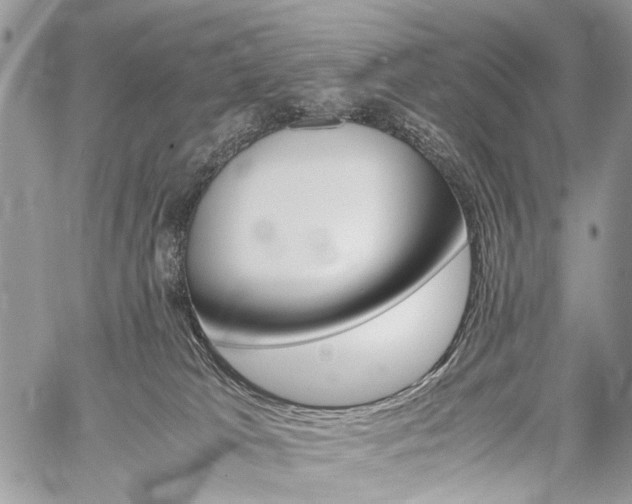 X0000059800037200510210908