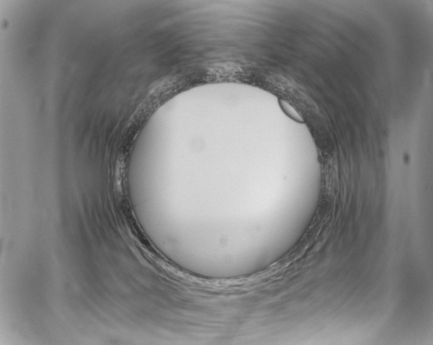 X0000059800038200510210908