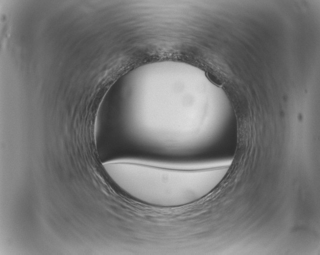 X0000059800039200510210908