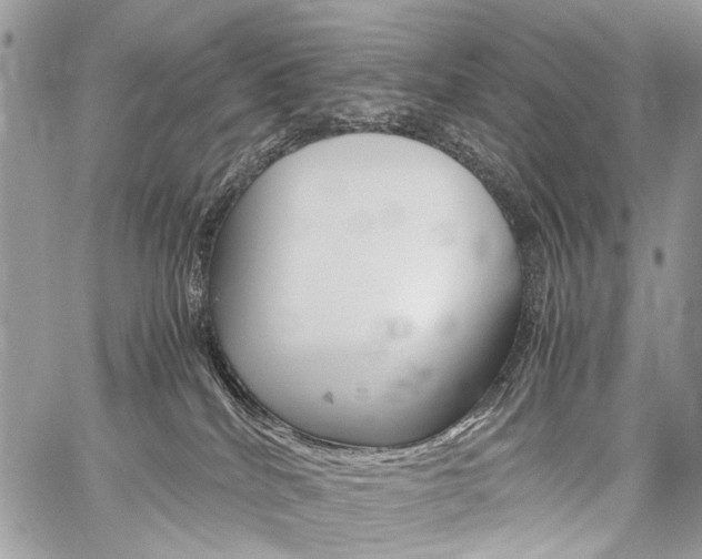 X0000059800040200510210908