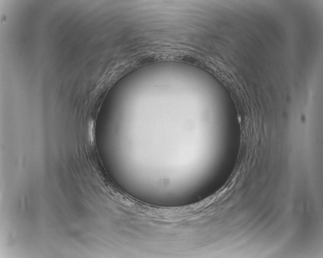 X0000059800041200510210908