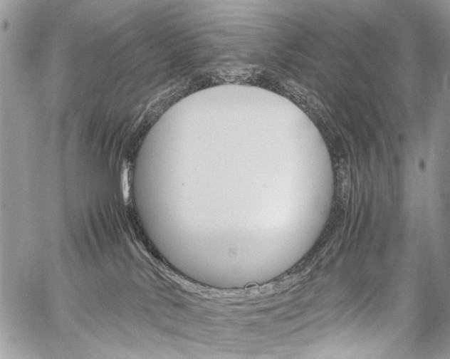 X0000059800042200510210908