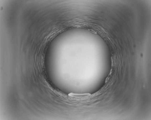 X0000059800043200510210908