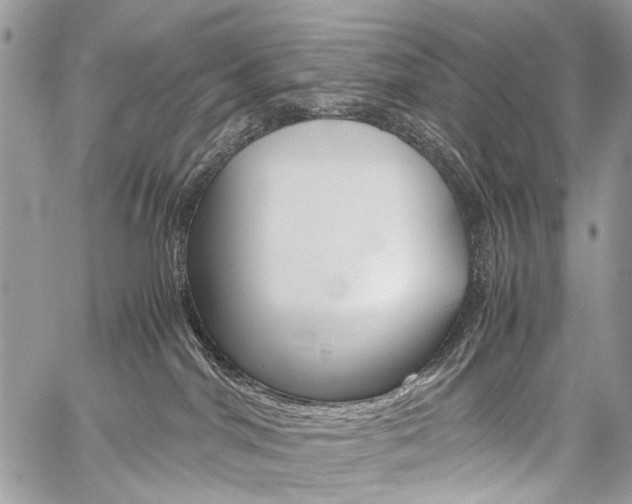 X0000059800044200510210908