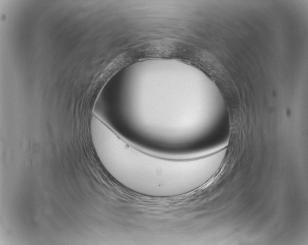 X0000059800045200510210908