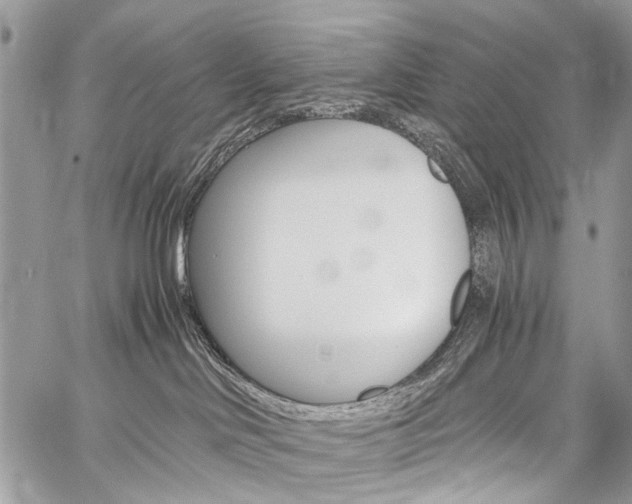 X0000059800046200510210908