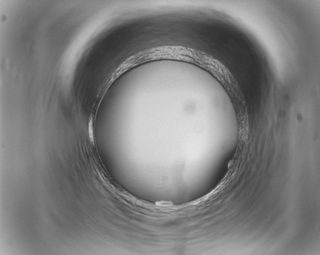 X0000059800047200510210908